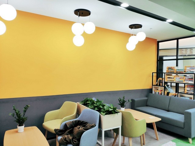 西安各种梨树苗价格