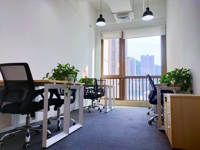 南京哪里有志愿填报