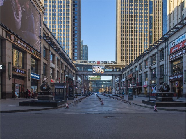 坪山区防霉服务